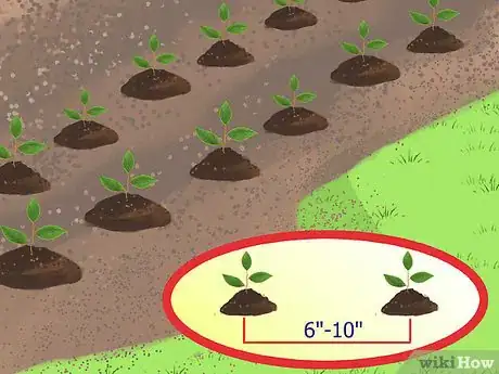 Image titled Replace Your Lawn with Groundcovers Step 10