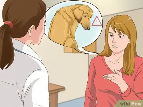 Image titled Manage Behavioral Dysfunction in Older Dogs Step 1