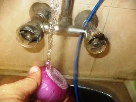 Image titled DSC02649.JPG