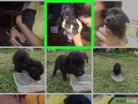 Image titled Add Photos to a Post on Facebook Step 18