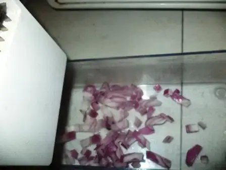 Image titled DSC02664.JPG