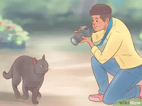 Image titled Take Action Photos of a Cat Step 11