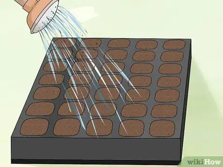 Image titled Plant Cabbage Step 3