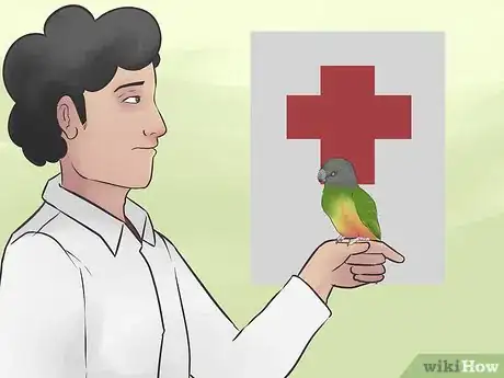 Image titled Care for a Senegal Parrot Step 9