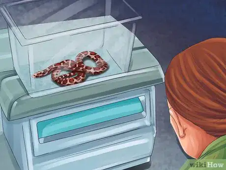 Image titled Find an Exotic Animal Vet Step 9