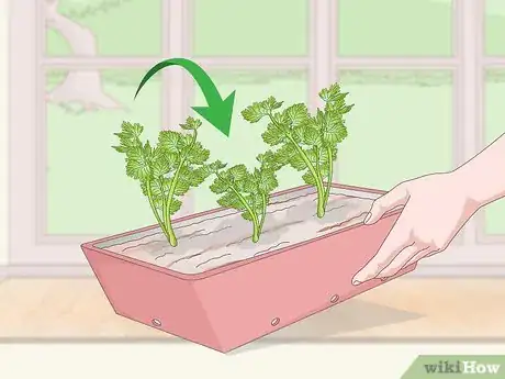 Image titled Prepare Your Garden for the Fall Step 11