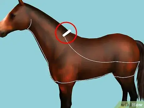 Image titled Clip Your Horse Step 8