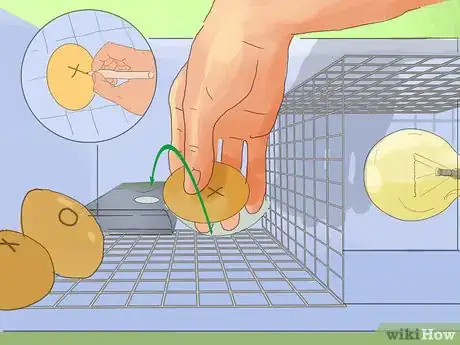 Image titled Make a Simple Homemade Incubator for Chicks Step 9