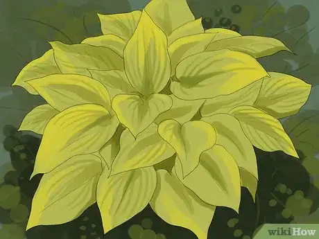 Image titled Plant Under a Tree Step 1