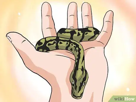 Image titled Choose Your First Pet Snake Step 2Bullet3
