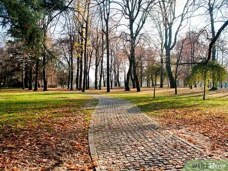 Image titled Improve Your Holiday Photography Step 3