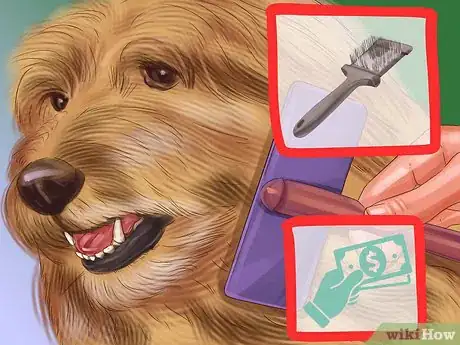 Image titled Groom a Thick Furred Dog Step 14