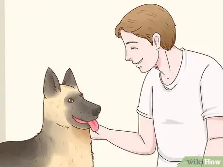 Image titled Adopt a German Shepherd Step 9