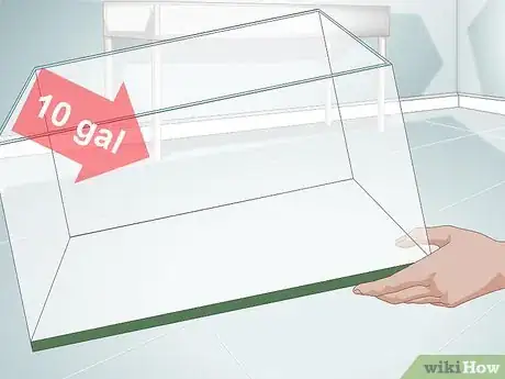 Image titled Buy a Pet Hermit Crab Step 8