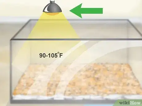 Image titled Care for a Tokay Gecko Step 5