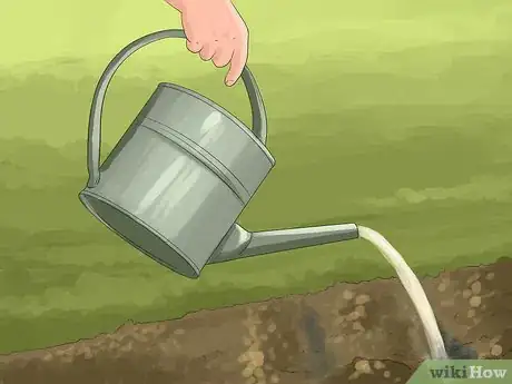 Image titled Plant Under a Tree Step 6