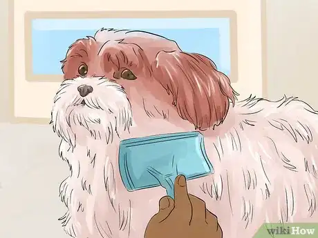 Image titled Help Your Dog Live Longer Step 14