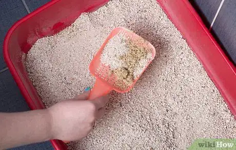 Image titled Protect Your Cat or Kitten from Parasites Step 11