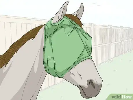 Image titled Protect an Injured Eye on a Horse Step 1