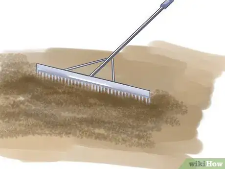 Image titled Grow Rue Step 3