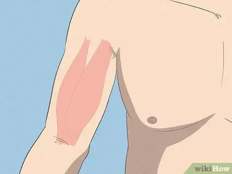 Image titled Build Your Upper Arm Muscles Step 1