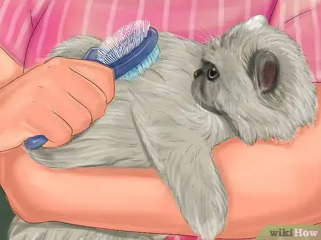 Image titled Keep a Dog or Cat Successfully While Living in an Apartment Step 19