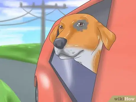 Image titled Deal with Severe Motion Sickness in Dogs Step 4