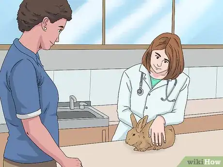 Image titled Determine the Sex of a Rabbit Step 10
