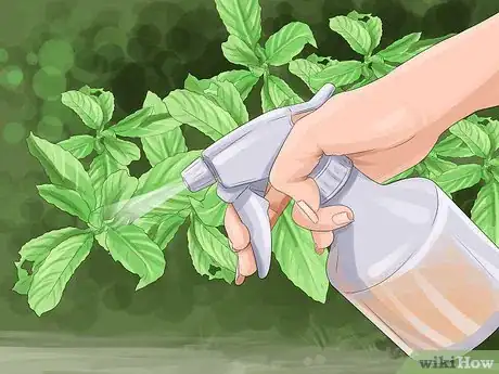 Image titled Grow Ivy Step 23