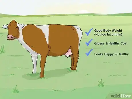 Image titled Increase Dairy Milk Production Step 9