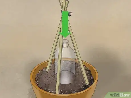 Image titled Grow Cucumbers in Pots Step 12