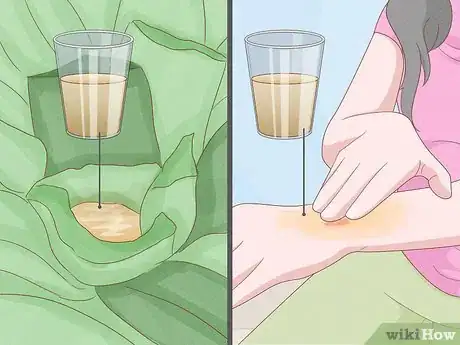 Image titled Grow Agave Plants Step 20