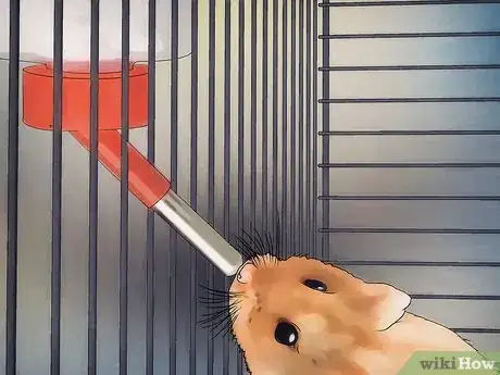 Image titled Disinfect a Hamster's Cage Step 6