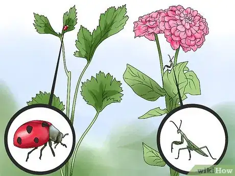 Image titled Choose Companion Plants for Roses Step 2