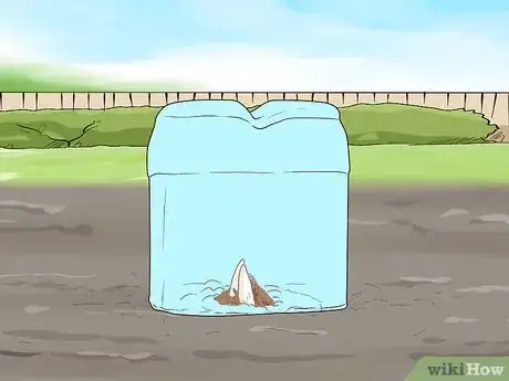 Image titled Grow Crocus Step 13