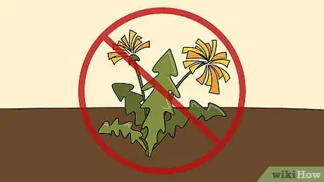 Image titled Grow Chamomile Step 21