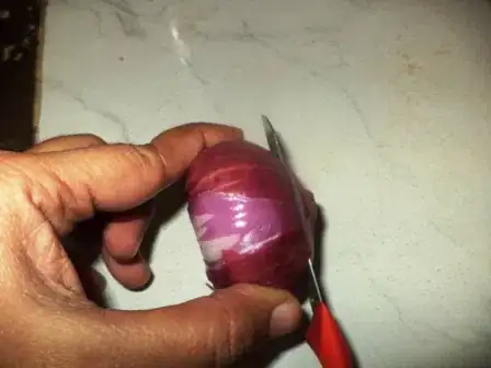 Image titled DSC02646.JPG