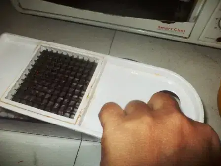 Image titled DSC02663.JPG