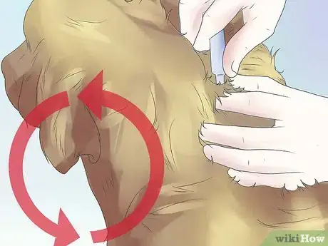 Image titled Remove Ear Mites from a Dog Step 11