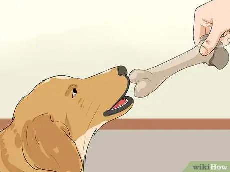 Image titled Keep a Dog from Sneaking Human Food Step 12