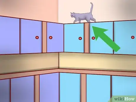 Image titled Create More Space for Your Cat Step 4