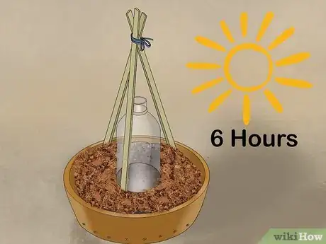 Image titled Grow Cucumbers in Pots Step 15