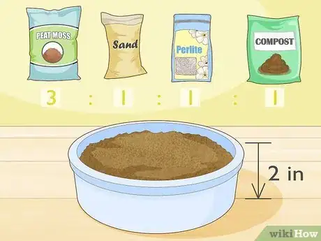 Image titled Grow Arugula Microgreens Step 1