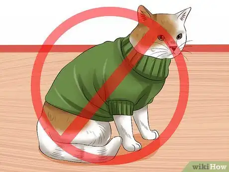 Image titled Have Cats Without Being a Cat Lady Step 10