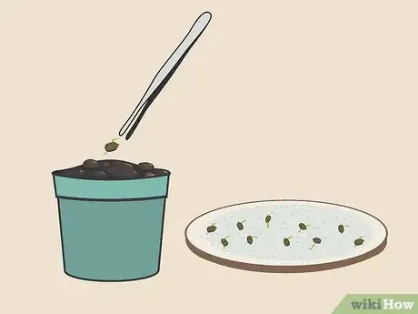 Image titled Plant Cannabis Seeds Indoors Step 10