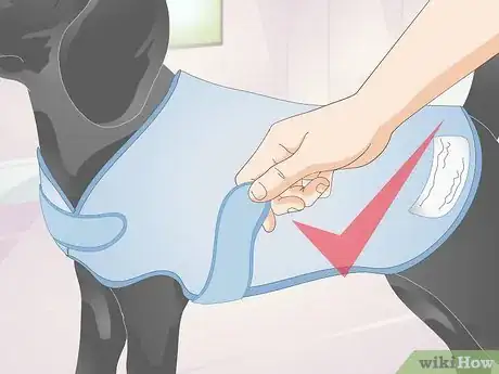 Image titled Measure Dogs for Coats Step 10