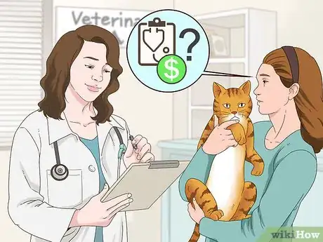 Image titled Schedule Wellness Exams for a Senior Cat Step 4