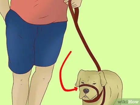 Image titled Use a Halter Collar on a Dog Step 5
