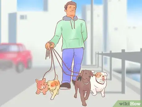 Image titled Keep Your Dog Entertained Step 4