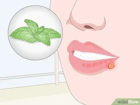 Image titled Make Herbal Lotions and Salves Step 2